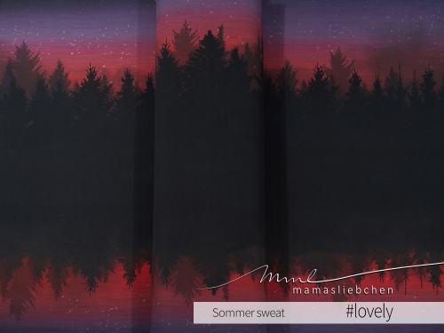 Sommer-Sweat-Stoff 
