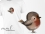 Bügelbild Rotkehlchen Vogel / kleiner Piepmatz