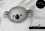 Bügelbilder kleiner Koalabär / Koala Bärchen