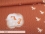 Jersey-Stoff "Baby Unicorn #rust" (1Panel/ ca.0,65 m)