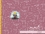 Jersey-Stoff "Bo-Meister #rose" (1Panel/ ca.0,65m)