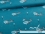 Jersey-Stoff "Daydream #teal" (0,5m)