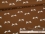 Jersey-Stoff "dragonfly #rust" (0,25 m)
