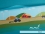 Jersey-Stoff Bauernhof Traktor "Farm Holidays #teal" (1Panel/ ca.0,65 m)