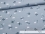 Jersey-Stoff "Fly #gray" (0,5 m)