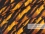 Jersey-Stoff "ocean #gold-shadow" (0,5m)