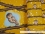 Jersey-Stoff "Ottfried #honey" (1Panel/ ca.0,65m)