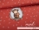 Jersey-Stoff "Timmy Bärenstark #rust" (1Panel/ ca.0,75m)