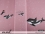 Jersey-Stoff "Willy #rose" (1Panel/ ca.0,75m)