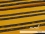 Jersey-Stoff "Wood #gold" (0,5m)
