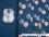 Jersey-Stoff 