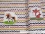 Jersey-Stoff "kleine Feder #indian summer" (1Panel/ ca.0,65m)