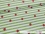 Jersey-Stoff "raspberry #limette" (0,5m)