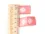 Weblabel-Set #Margerite pink (3er-Set)