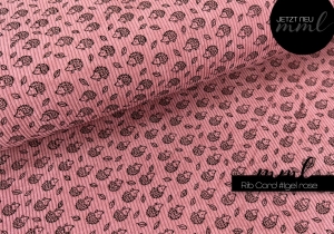 Ein wundervoller Rib Cord-Stoff ...